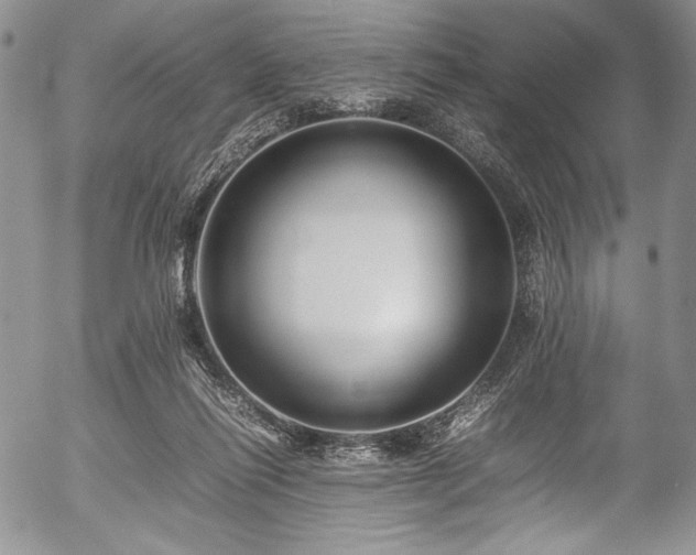X0000054450262200508011437