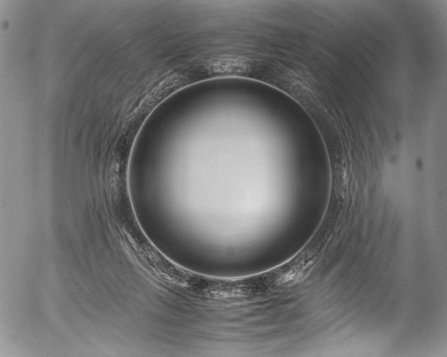 X0000054450263200508011437
