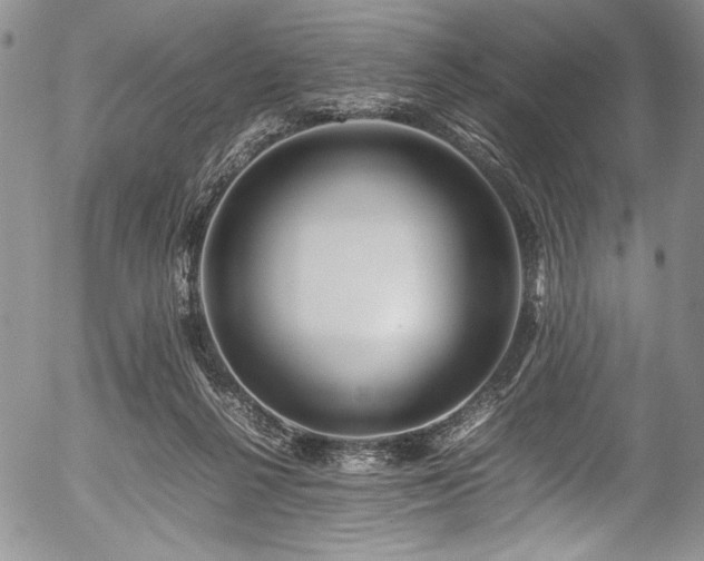 X0000054450264200508011437