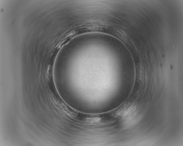 X0000054450266200508011437