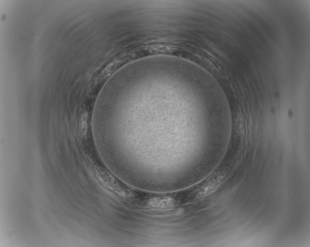 X0000054450271200508011437