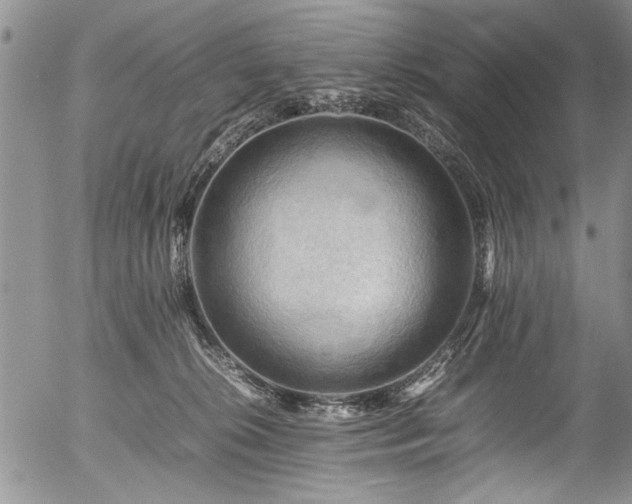 X0000054450276200508011437