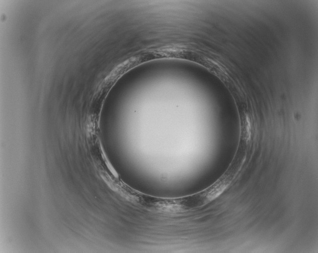 X0000054450284200508011437