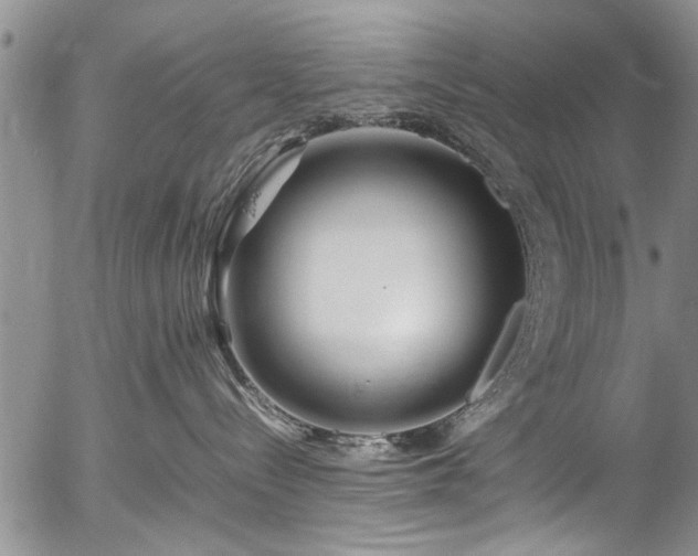 X0000054450288200508011437