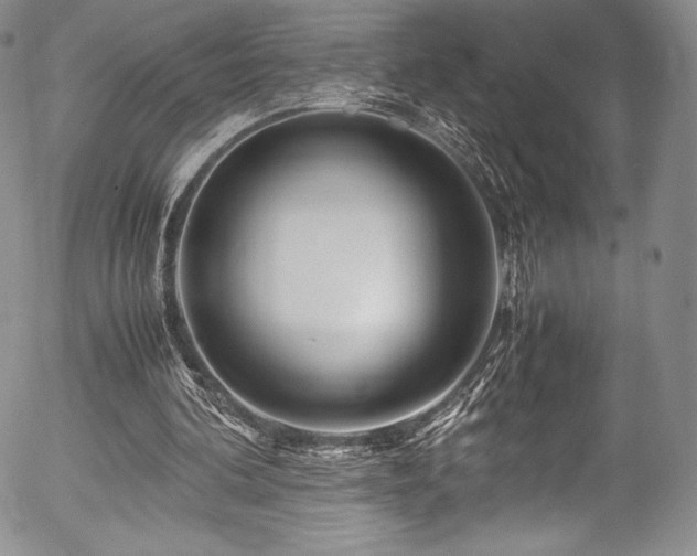 X0000054450292200508011436