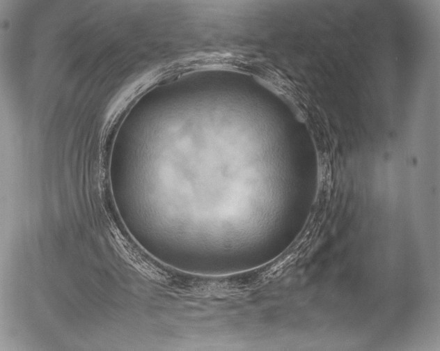 X0000054450293200508011436