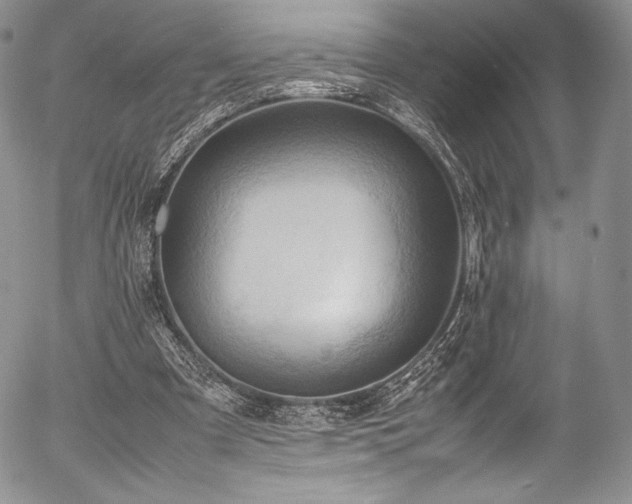 X0000054450297200508011436