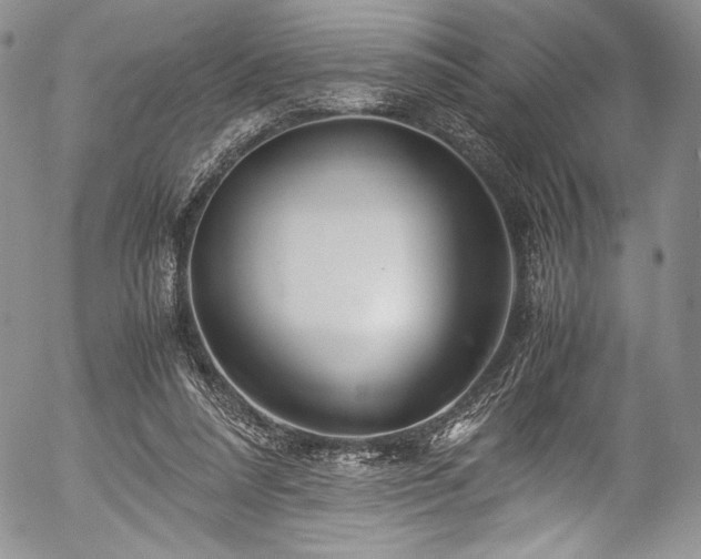 X0000054450304200508011436