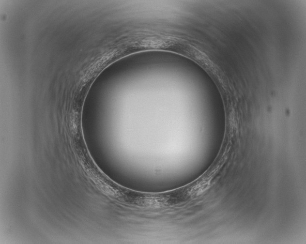 X0000054450305200508011436