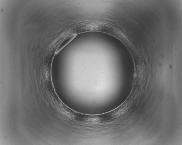 X0000054450313200508011436