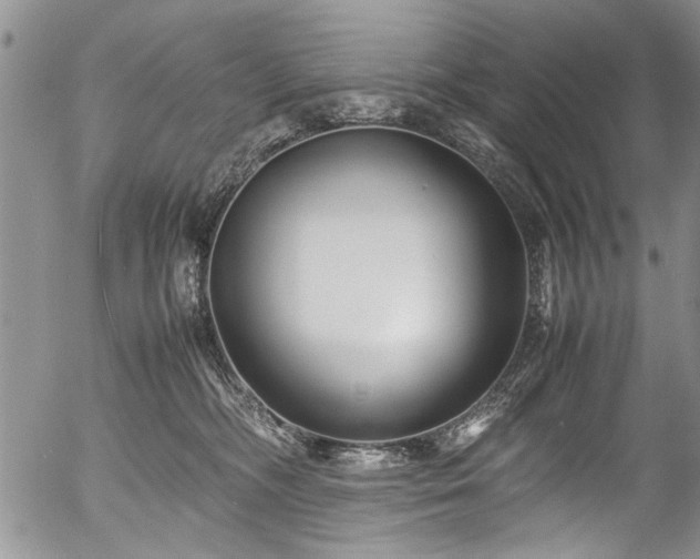 X0000054450326200508011436