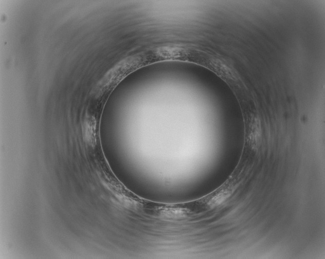 X0000054450332200508011436