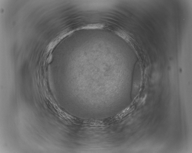 X0000054450337200508011435