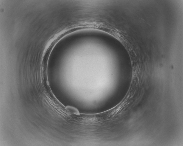X0000054450342200508011435