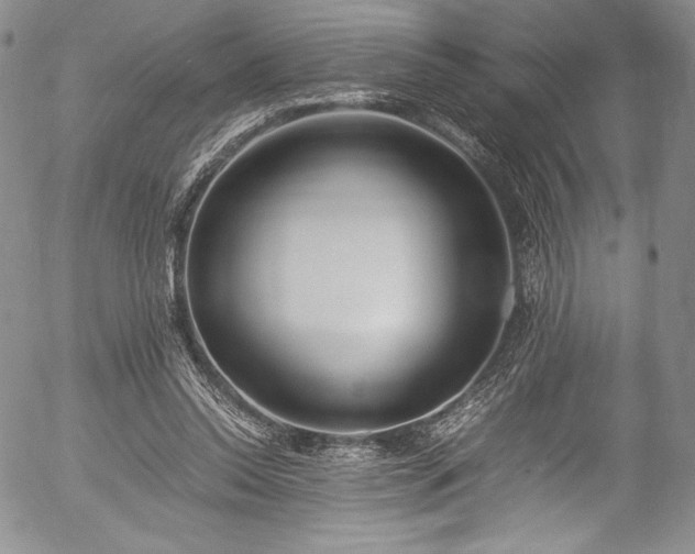 X0000054450350200508011435
