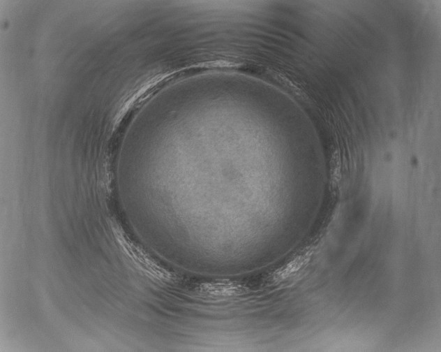 X0000054450351200508011435