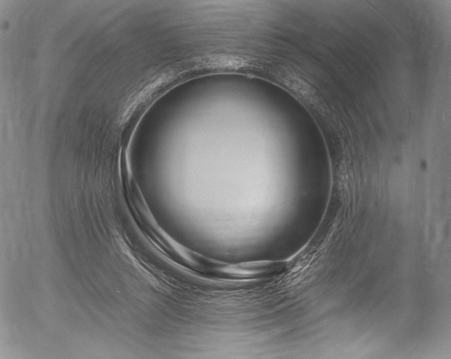 X0000054450352200508011435