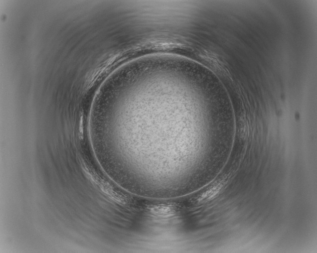 X0000054450358200508011435