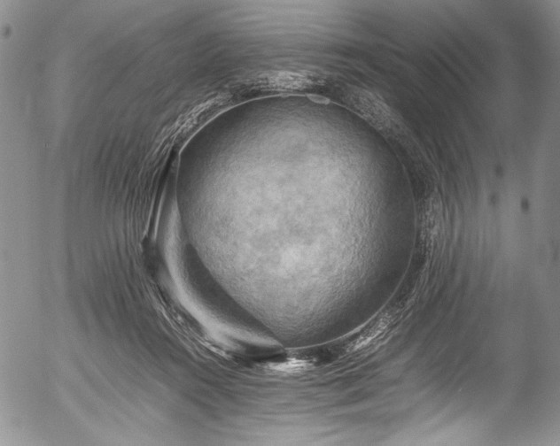 X0000054450360200508011435