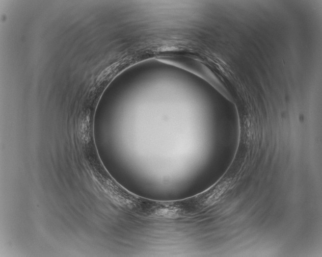 X0000054450364200508011435