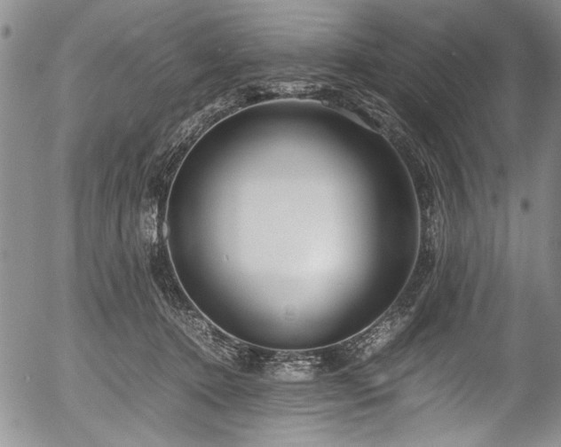 X0000054450368200508011435