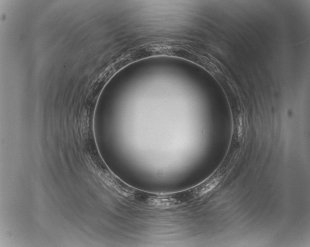 X0000054450372200508011435