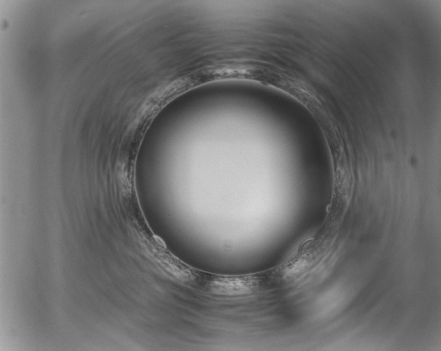 X0000054450381200508011436