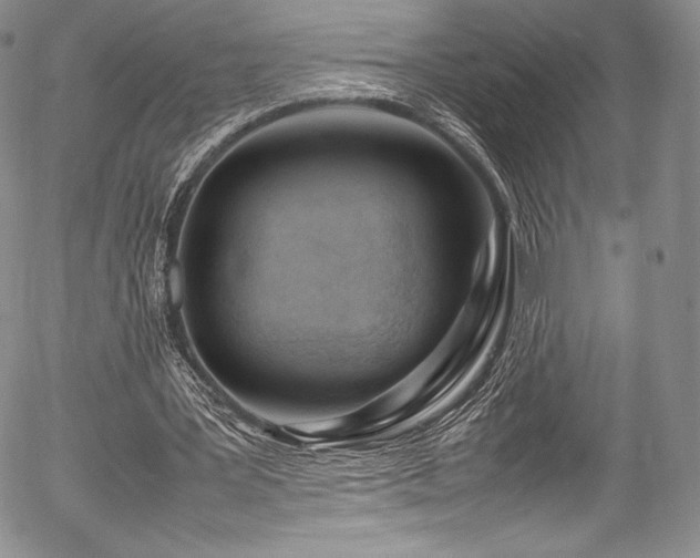 X0000054450387200508011435