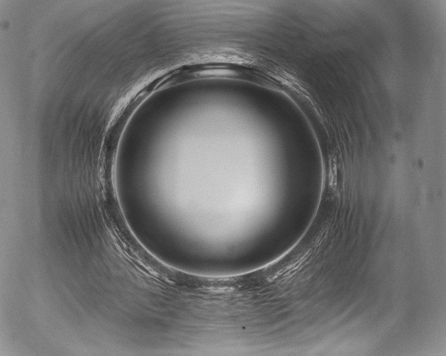 X0000054450388200508011435