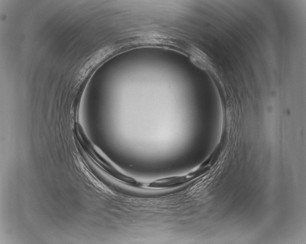X0000054450389200508011435