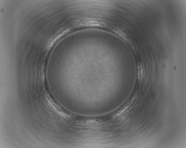 X0000054450390200508011435