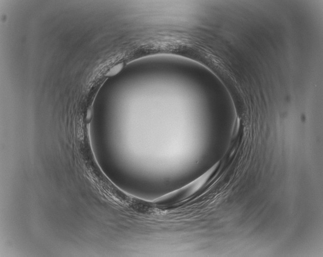 X0000054450403200508011435