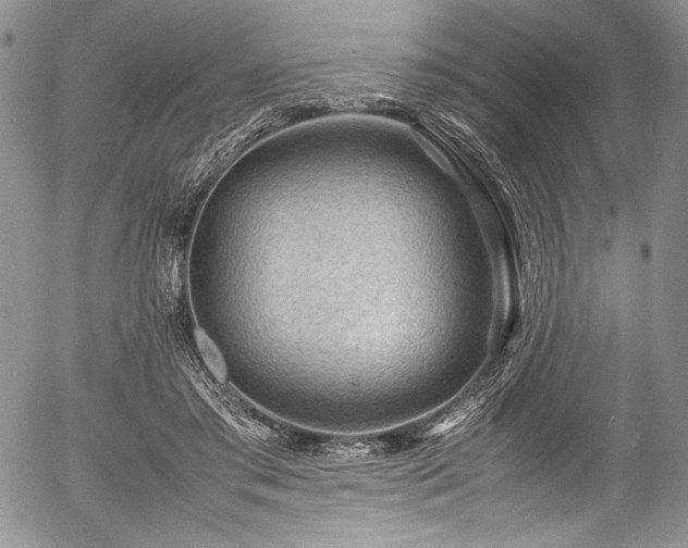 X0000054450405200508011434