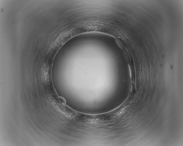 X0000054450408200508011434