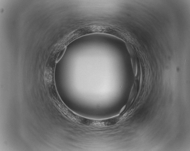 X0000054450413200508011434