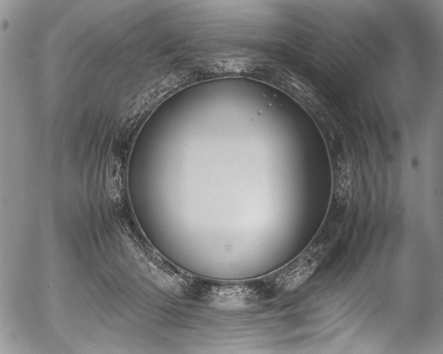 X0000054450414200508011434