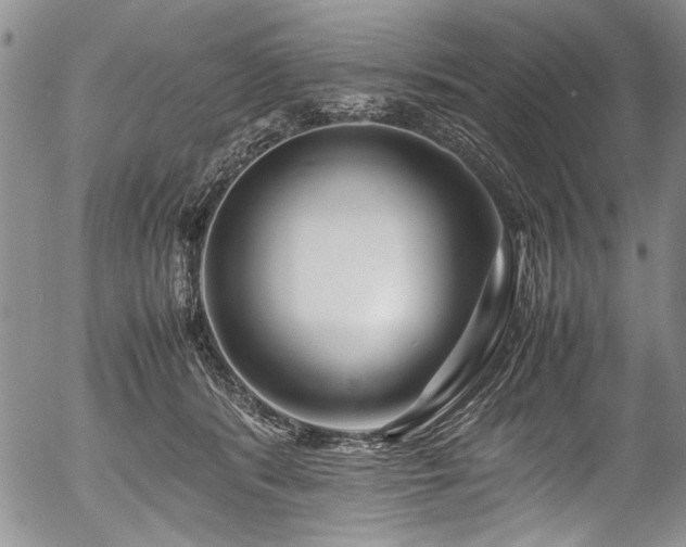 X0000054450416200508011434
