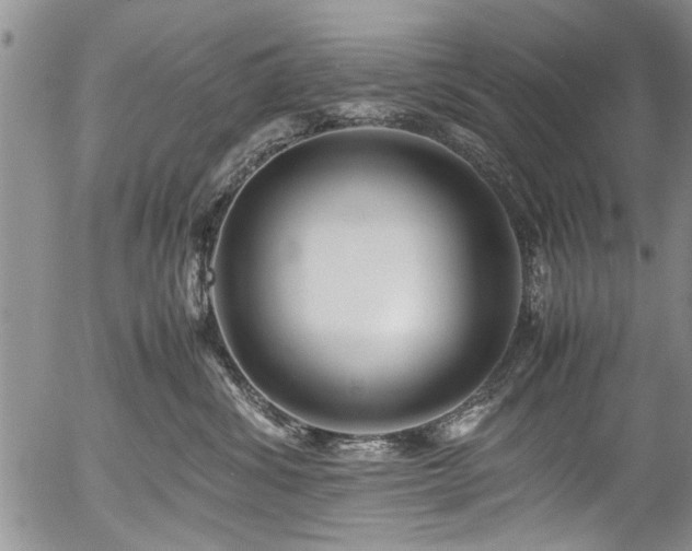 X0000054450428200508011434