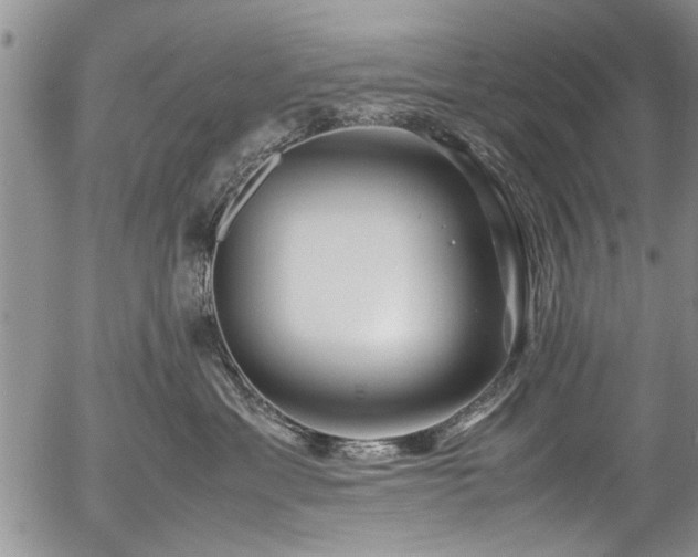 X0000054450429200508011434