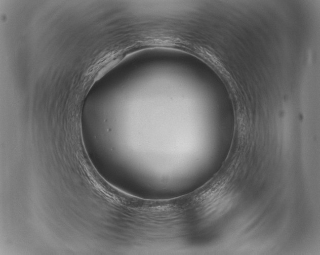 X0000054450433200508011433