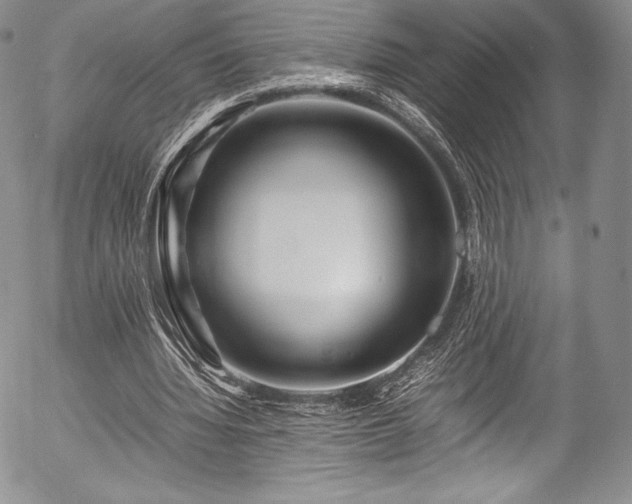 X0000054450436200508011433
