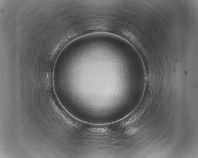 X0000054450449200508011433