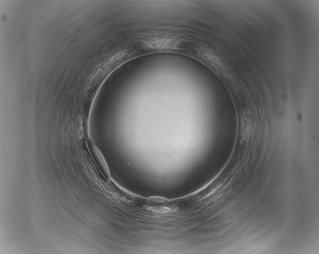 X0000054450453200508011434