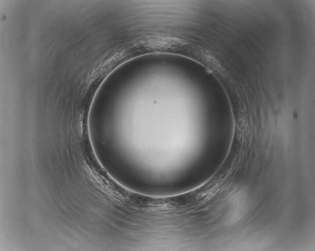 X0000054450454200508011434