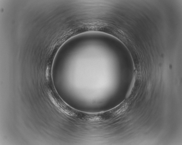 X0000054450456200508011434