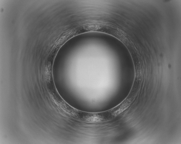 X0000054450460200508011434