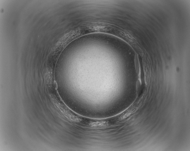 X0000054450461200508011434
