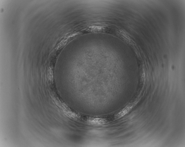 X0000054450467200508011434