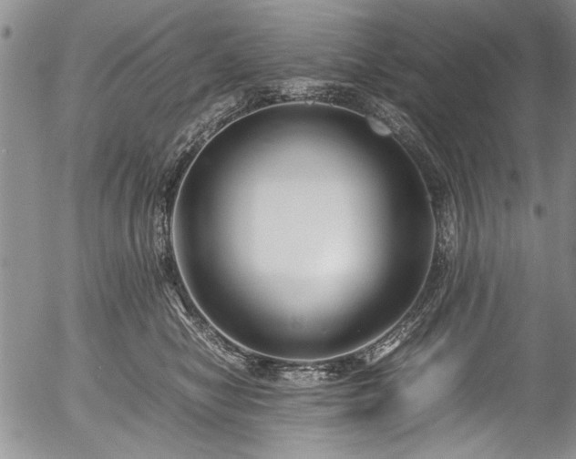 X0000054450470200508011434