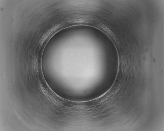 X0000054450482200508011433